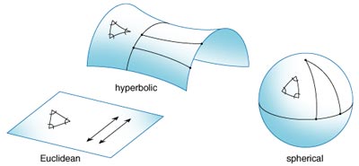 https://www.americanscientist.org/sites/americanscientist.org/files/20035291116_150.jpg