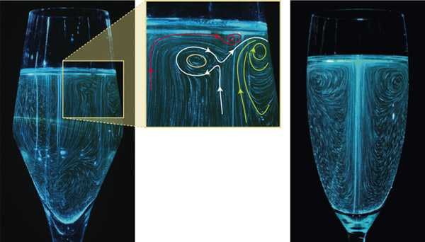 The Science of Champagne Glasses