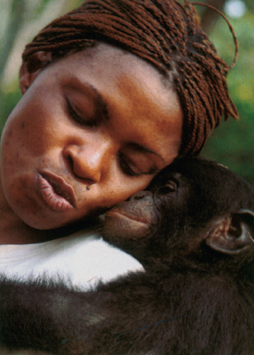 Bonobo  Ugly animals, Monkeys funny, Funny animals