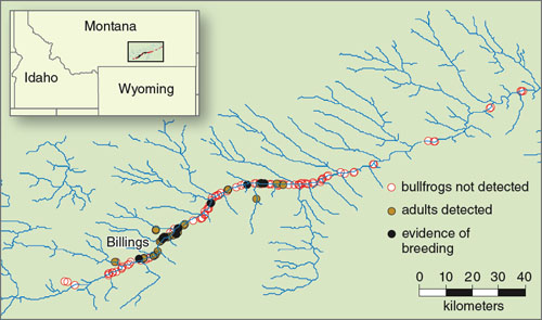 Early Detectors: A Summer of Mussel Monitoring - Invasive Species Council  of British Columbia