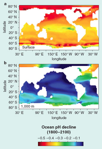 Ocean Acidification The Other Climate Change Issue - 