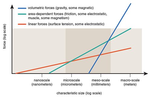 Macro Scale