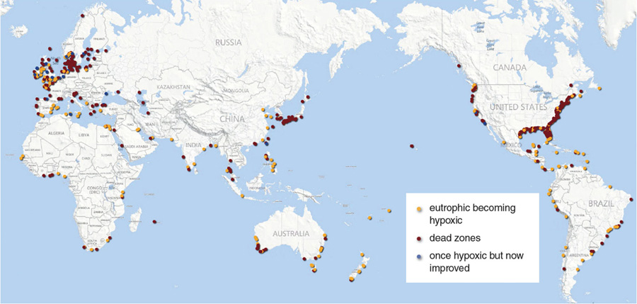 The Increasing Problem of Nutrient Runoff on the Coast | American Scientist