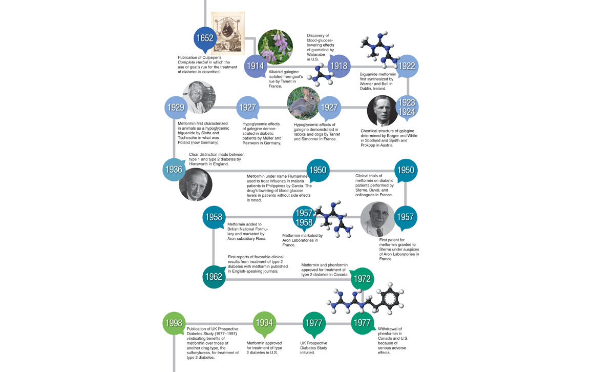 Metformin Out of Backwaters and into the Mainstream   American ...