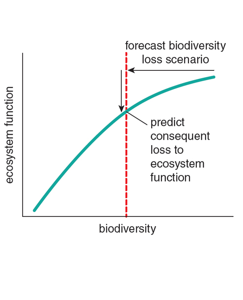 The Biodiversity Conservation Paradox American Scientist - 